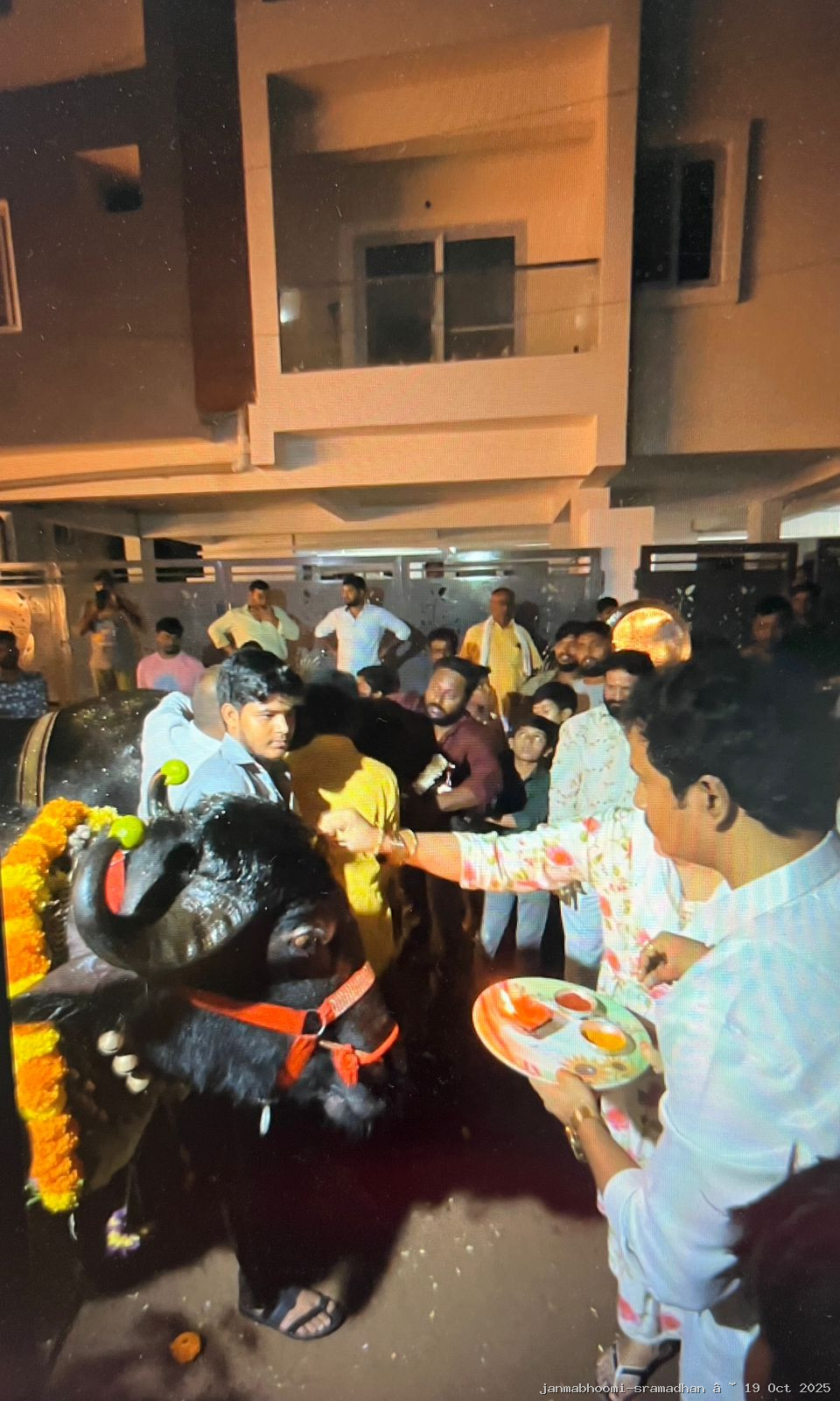 WhatsApp Image 2025-10-22 at 6.51.50 PM