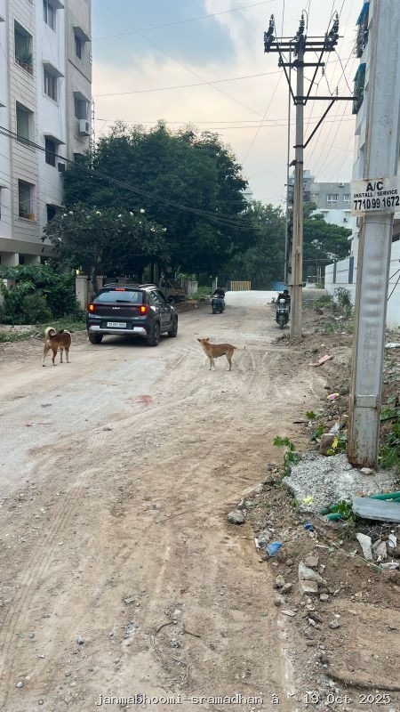 WhatsApp Image 2025-10-19 at 6.40.16 PM (2)